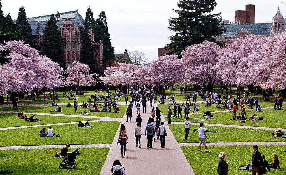 University of Washington campus